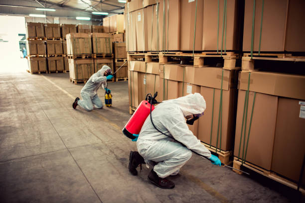 Best Exterminator Services  in Chewelah, WA
