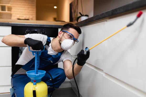 Reliable Chewelah, WA Pest Control Solutions