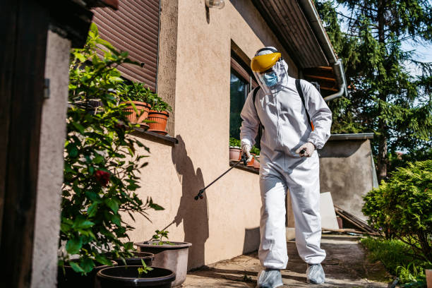 Best Ant Control Services  in Chewelah, WA