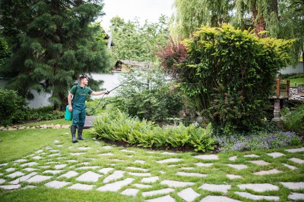 Best Pest Removal Services  in Chewelah, WA