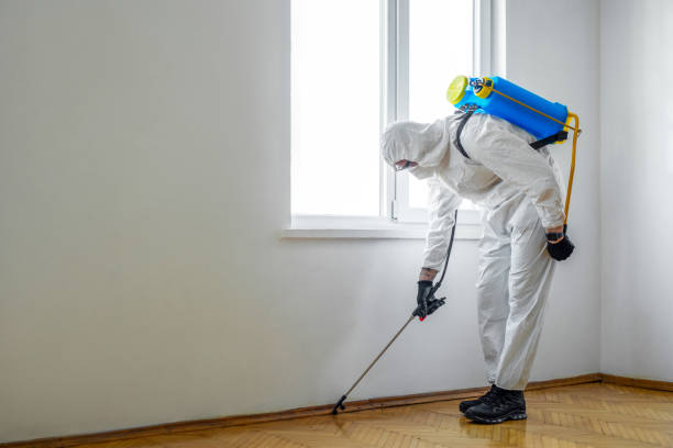 Best Termite Control Services  in Chewelah, WA