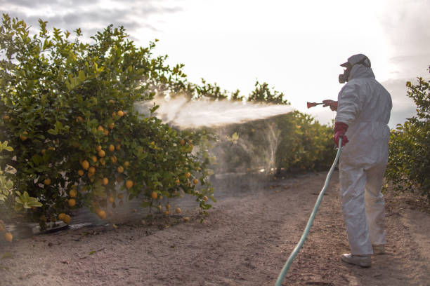 Best Rodent Control Near Me  in Chewelah, WA
