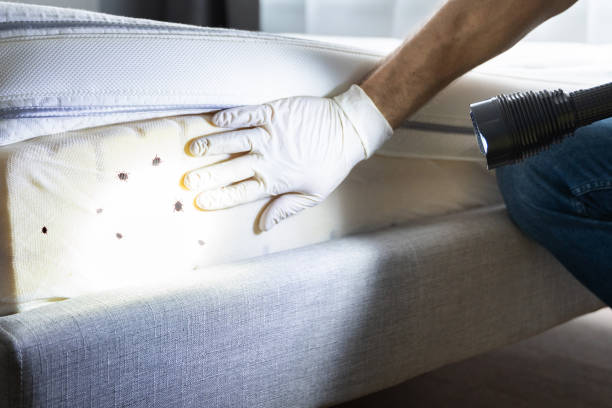 Best Best Pest Control Companies  in Chewelah, WA