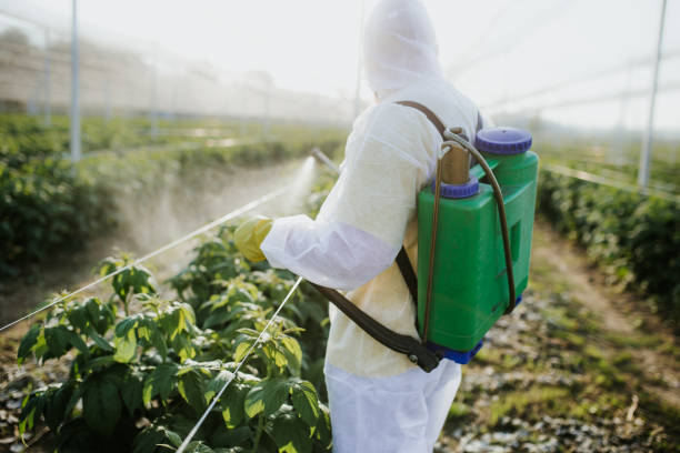 Best Pest Removal Services  in Chewelah, WA